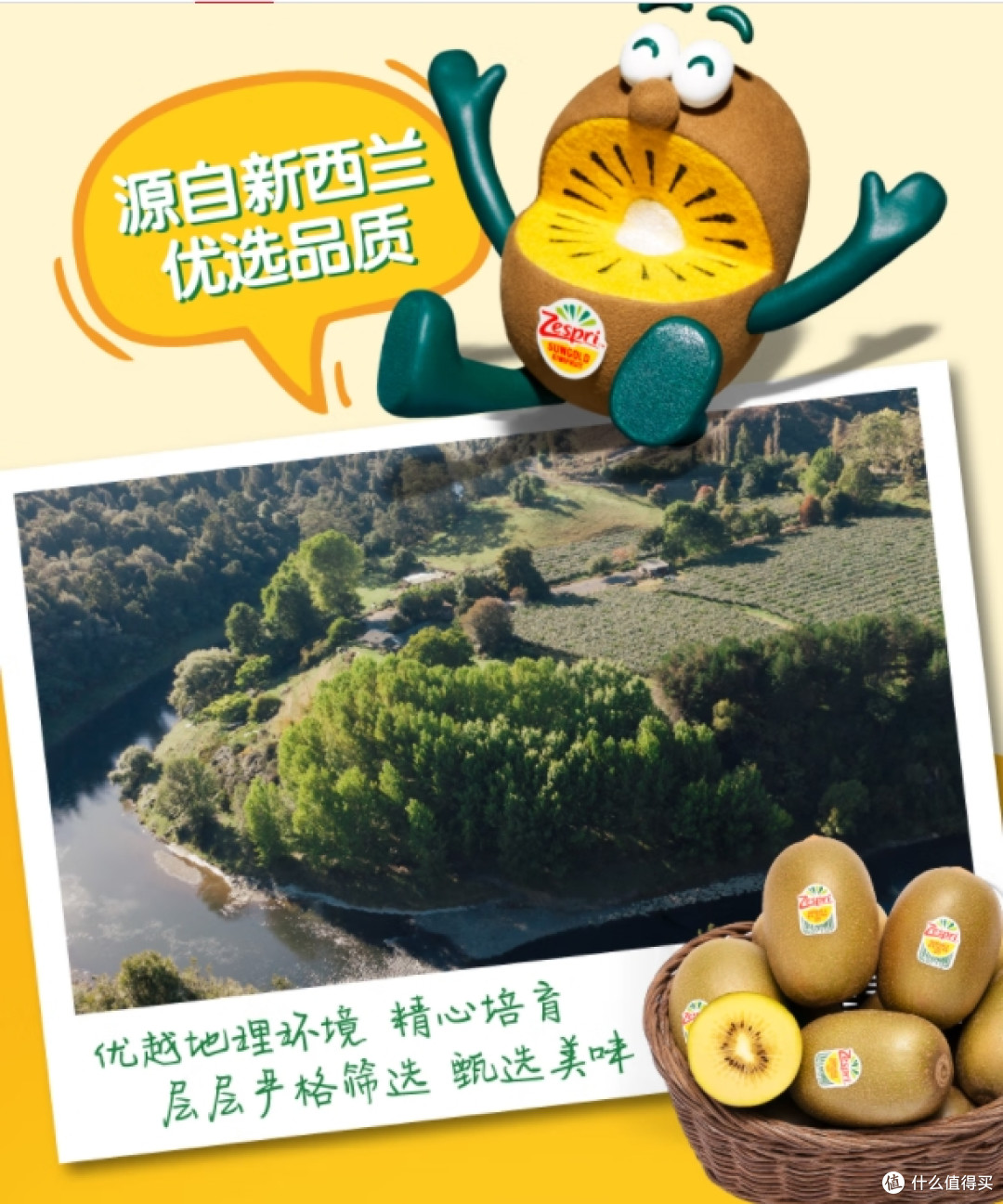 ✨佳沛新西兰阳光金奇异果巨大果 | 一口爆汁的「黄金维C炸弹」