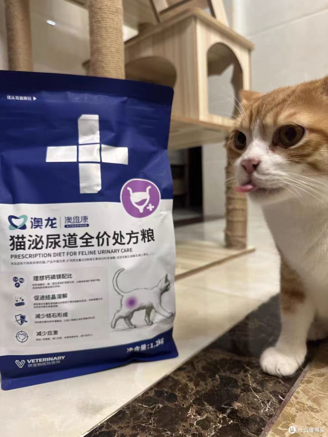 2025年十款国产银渐层天然猫粮品牌推荐