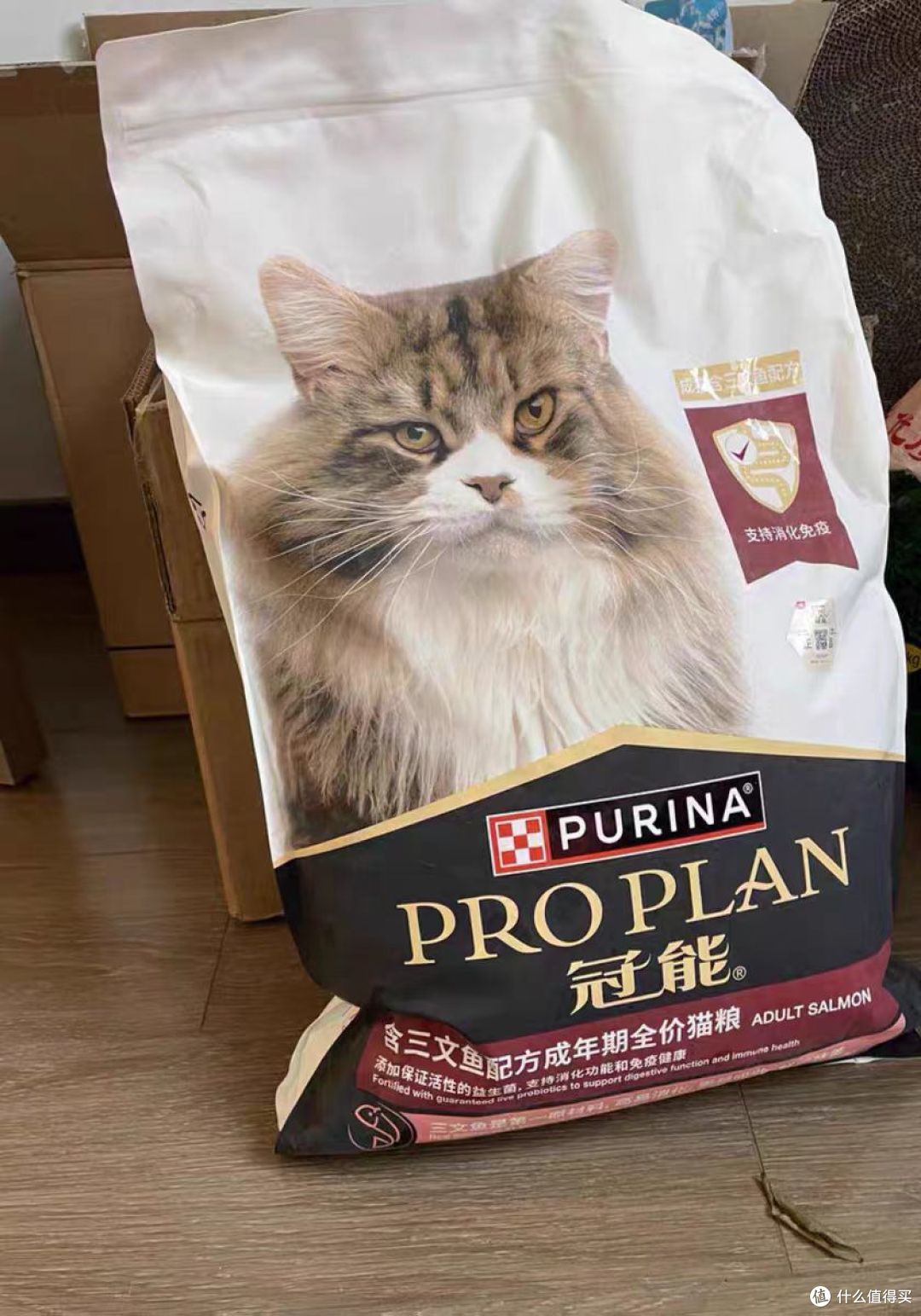 2025年十款国产银渐层天然猫粮品牌推荐