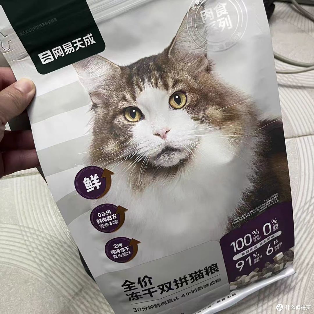 2025年十款国产银渐层天然猫粮品牌推荐