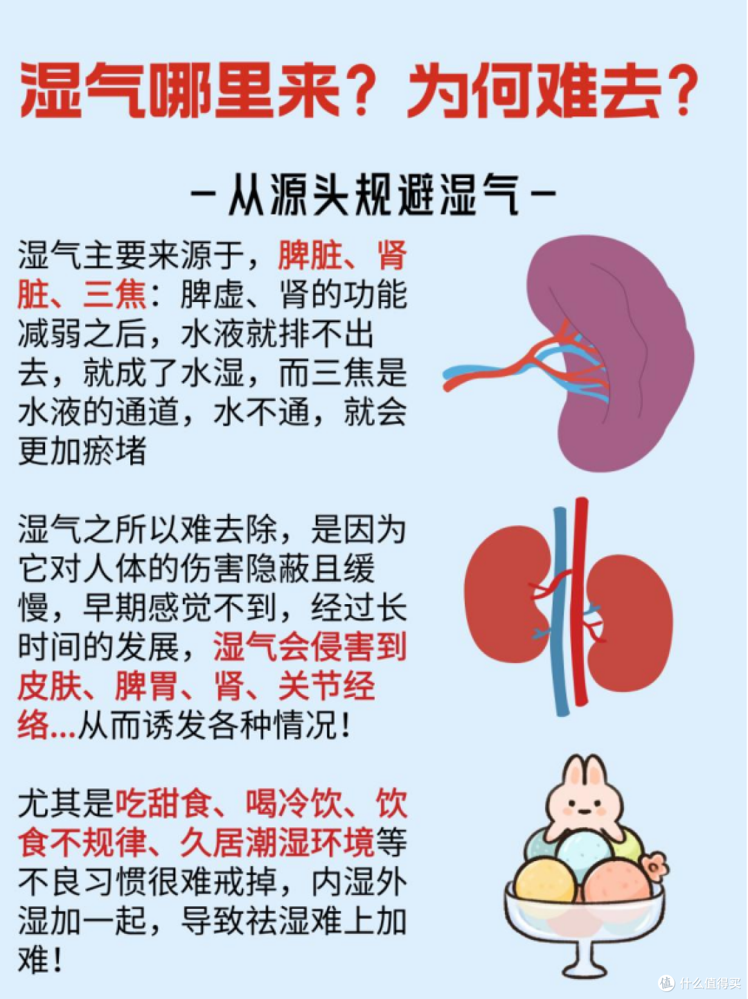 “千寒易除,一湿难去”|夏天一起好好去湿