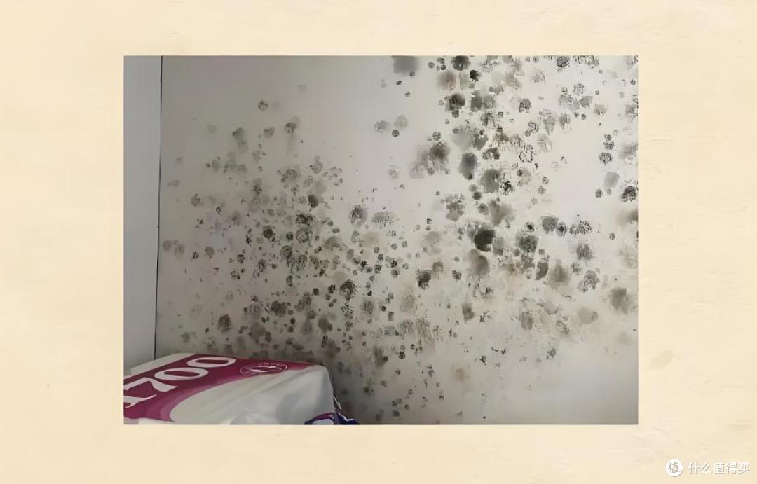 除螨仪哪款性价比高?十大公认好用的除螨仪!口碑公认质量佳!