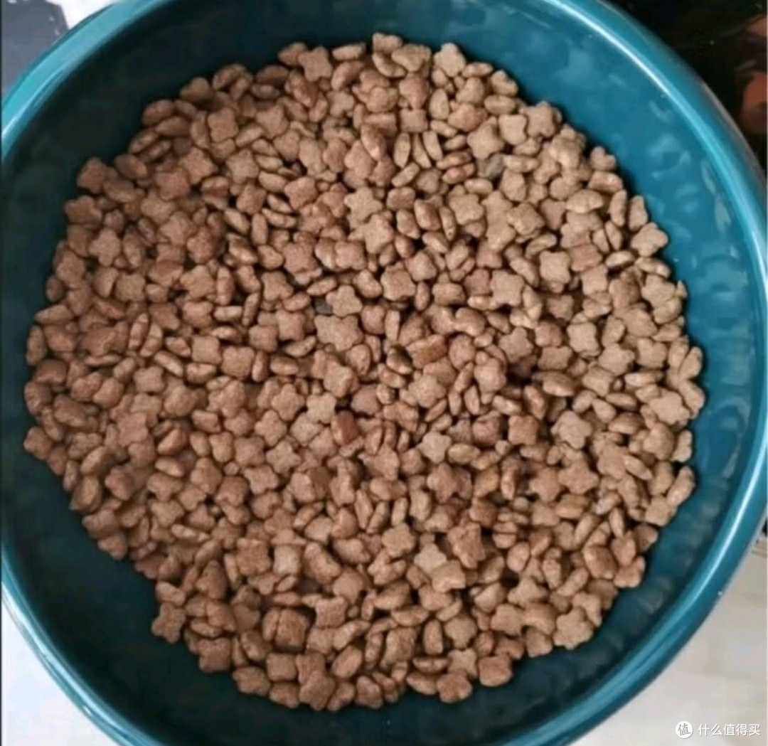 伯纳天纯经典猫粮:成猫毛球管理的“智慧之选”✨