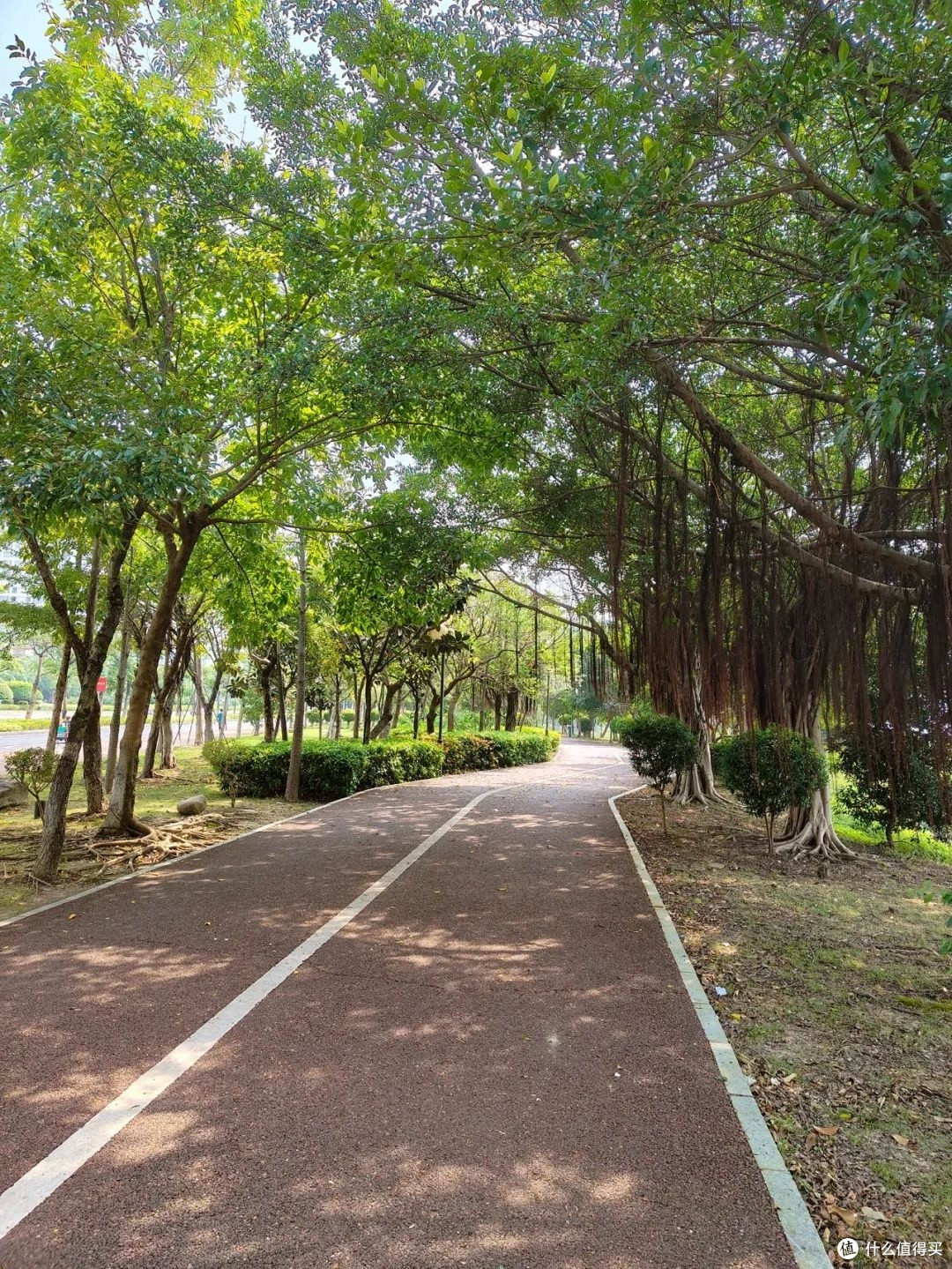 夏天跑步防晒指南：科学防护，清爽奔跑