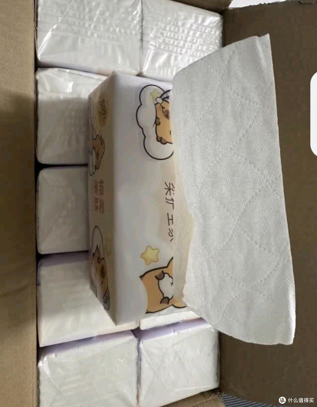 清风环保理念深挖:每一次选择,都是对地球的温柔承诺