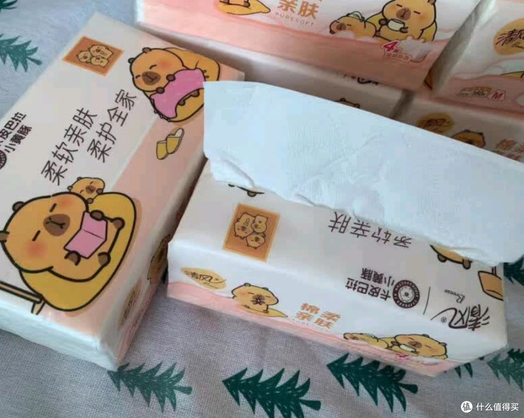 清风环保理念深挖:每一次选择,都是对地球的温柔承诺