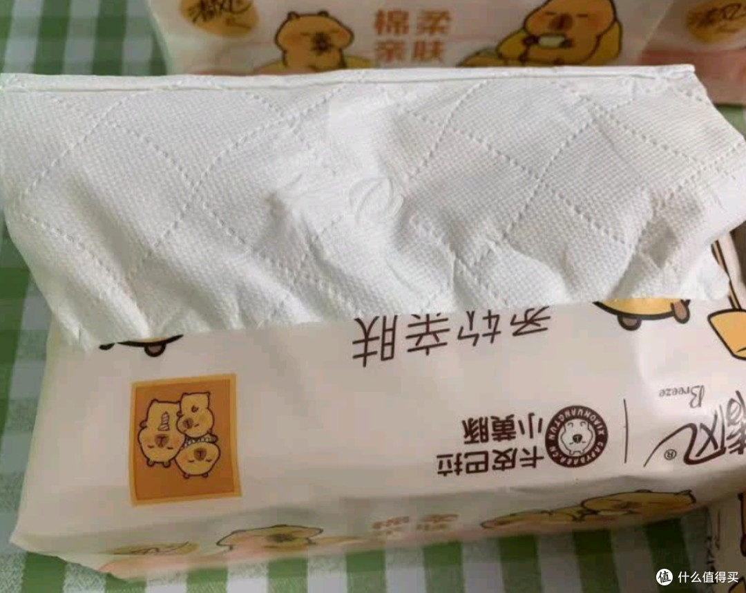 清风环保理念深挖:每一次选择,都是对地球的温柔承诺