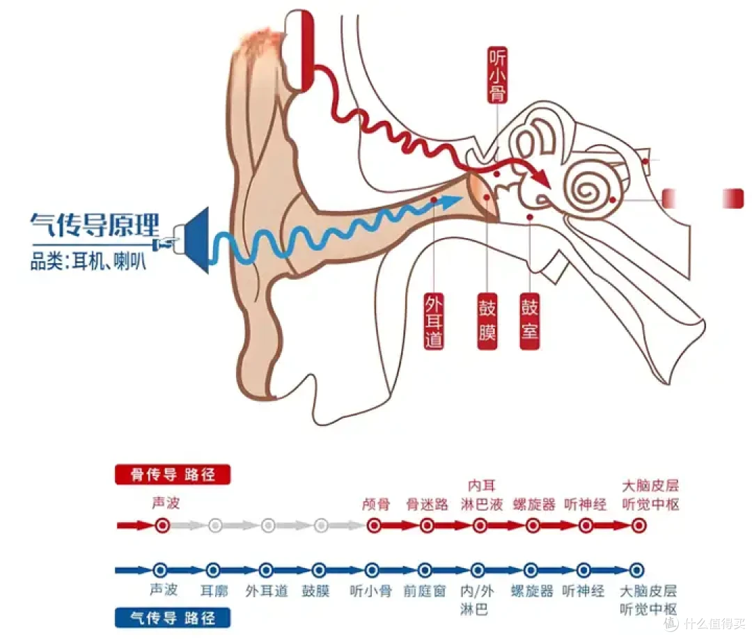 夏季运动党的最佳选择 | 开放式耳机选购攻略,耳夹式耳机推荐