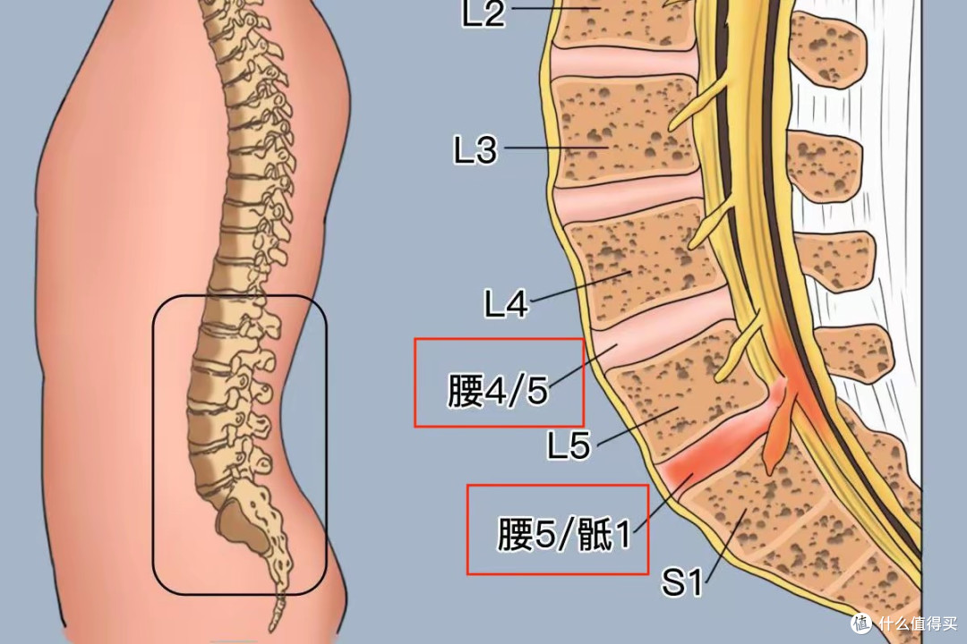 618电竞椅选购:如何选到“梦中情椅”?这些爆款+避坑技巧速码!