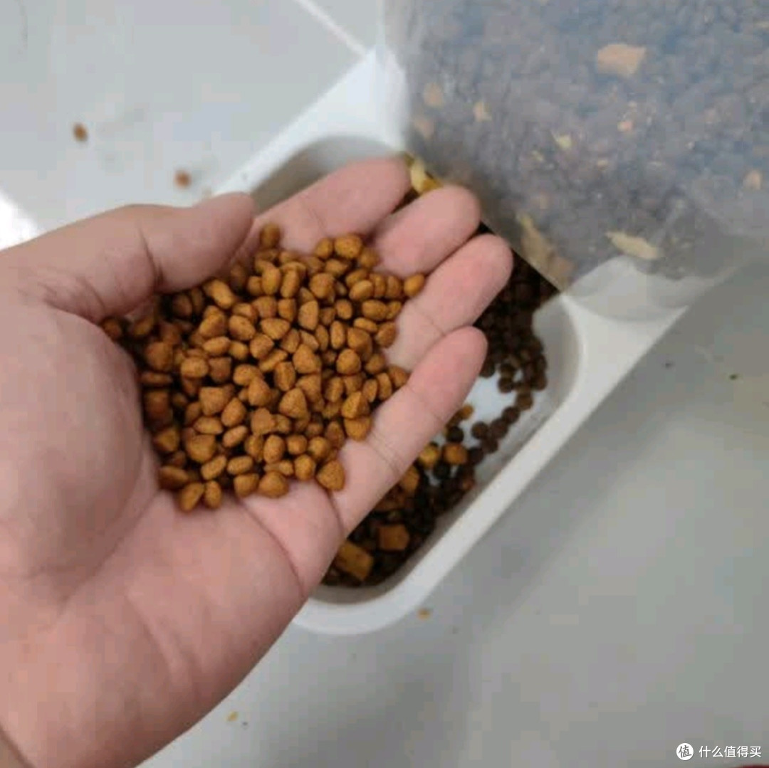 亿迪幼猫粮:专为1-12月龄蓝猫英短美短小猫打造的离乳期全价奶糕