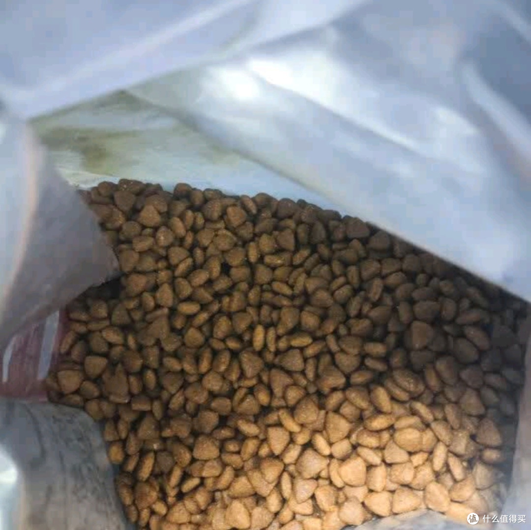 亿迪幼猫粮：专为1-12月龄蓝猫英短美短小猫打造的离乳期全价奶糕