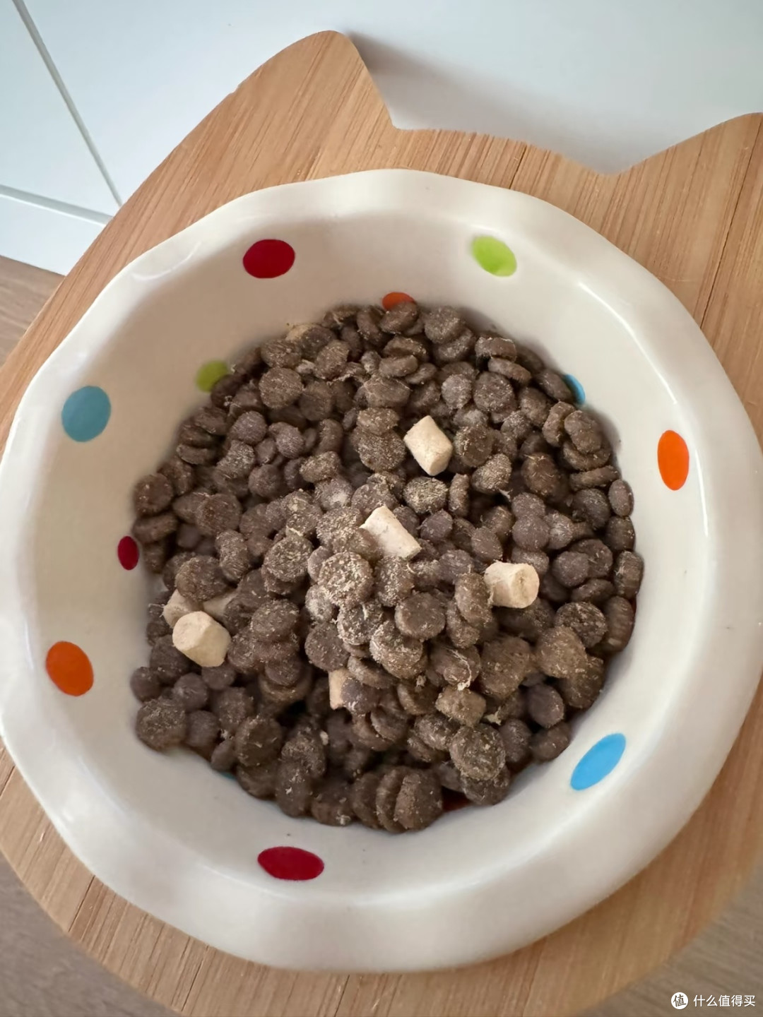 诚实一口P40,猫咪的新宠