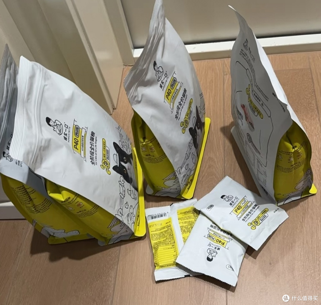 诚实一口P40,猫咪的新宠