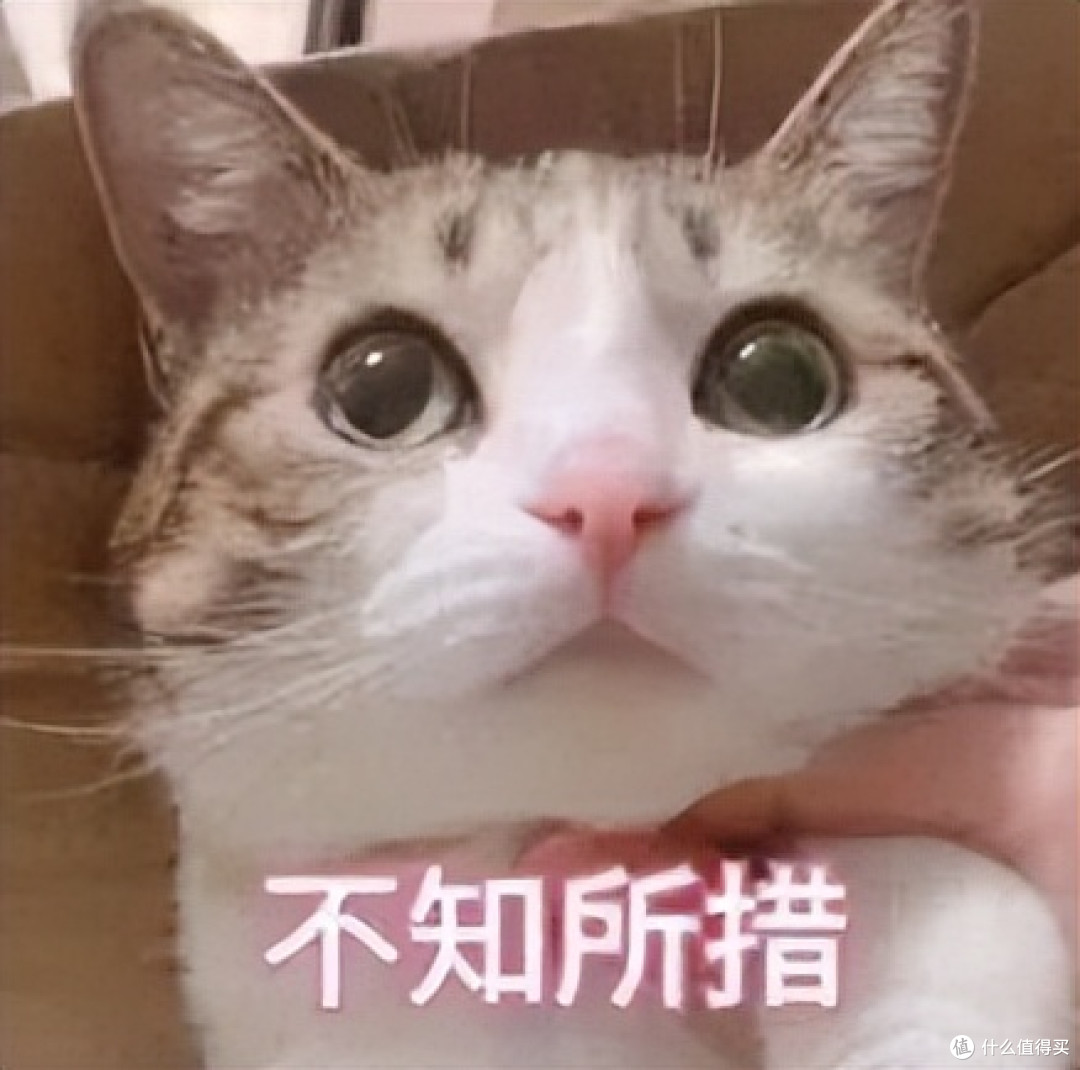 护发精油怎么买？且初效果怎么样？平价护发精油排行榜推荐！