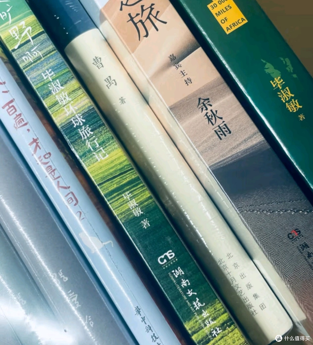 《人生是旷野啊》——毕淑敏环球之旅的心灵启迪✨