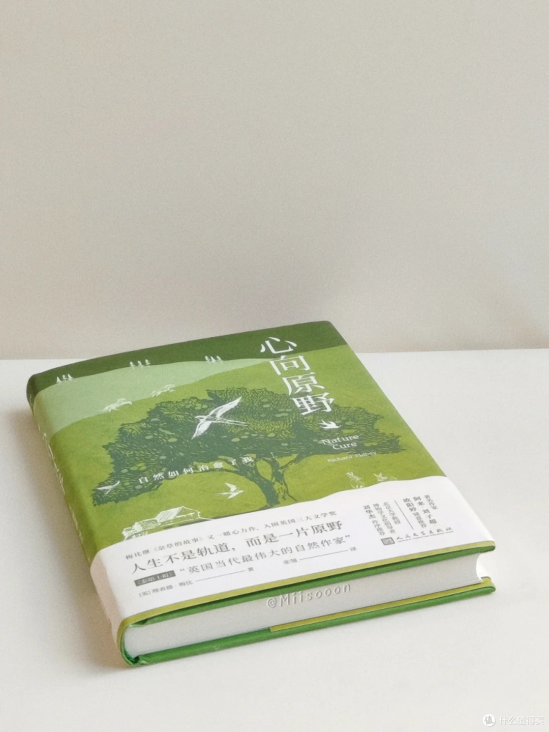 原野的治愈力量：读《心向原野》有感