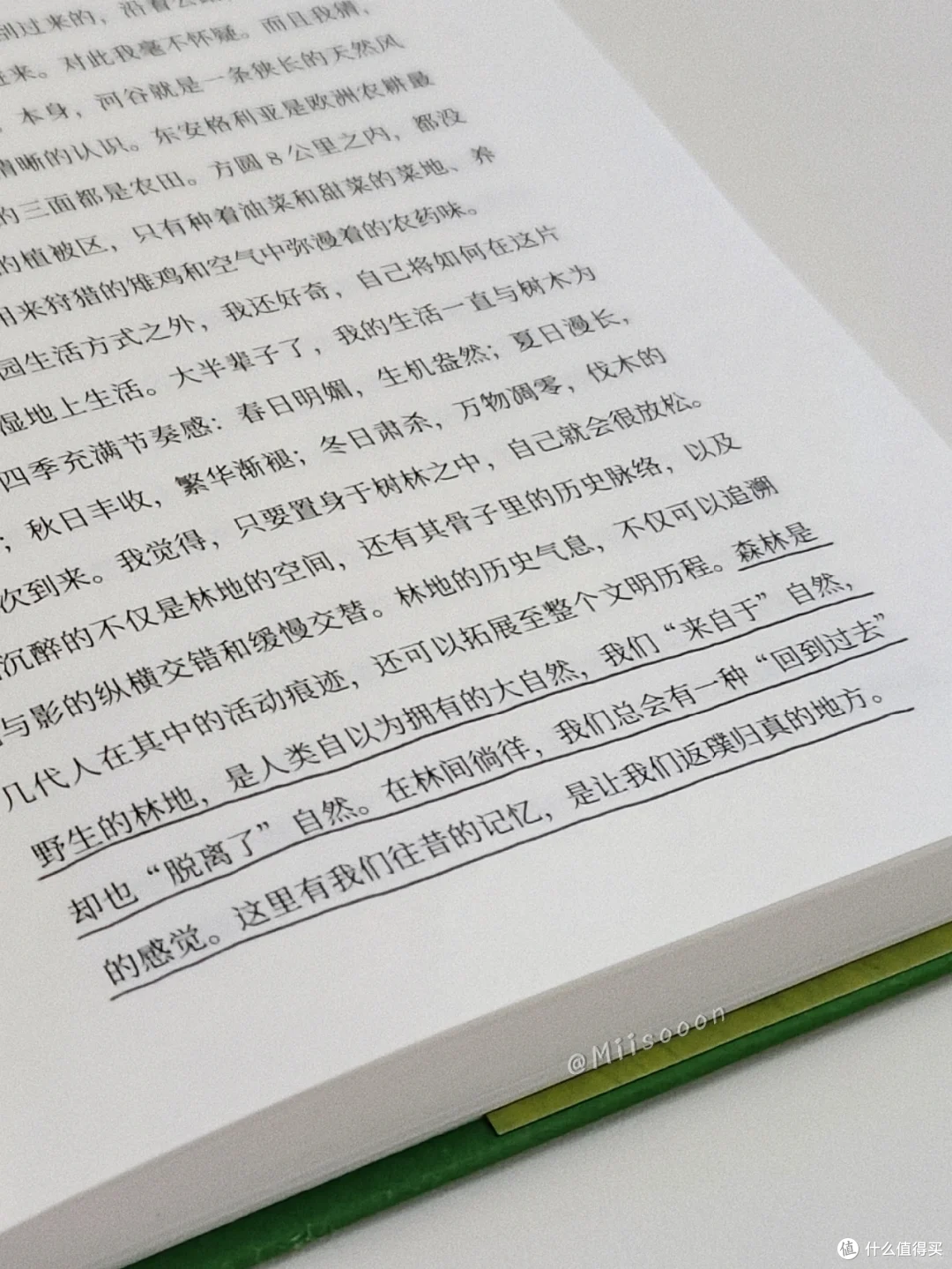 原野的治愈力量：读《心向原野》有感