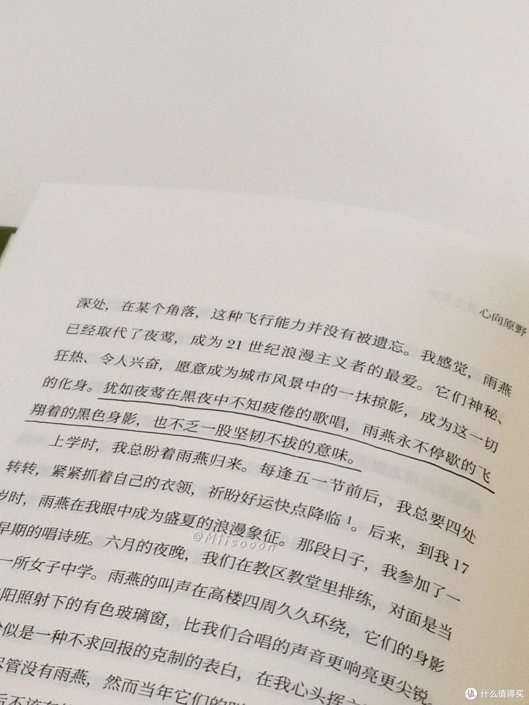 原野的治愈力量：读《心向原野》有感
