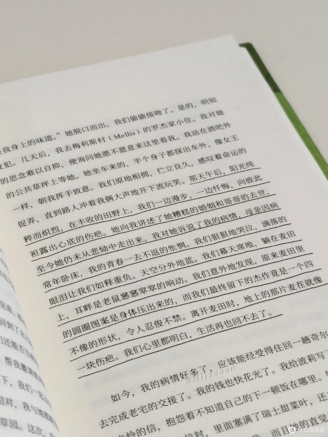 原野的治愈力量：读《心向原野》有感