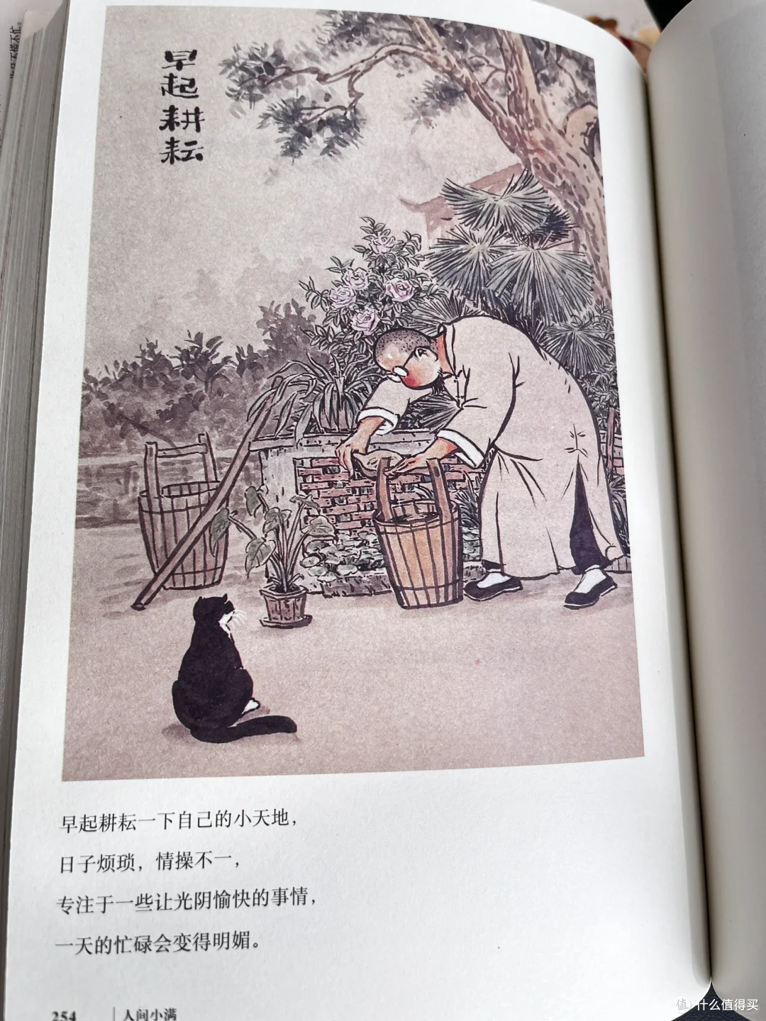 寻得人间小满，治愈岁月漫长