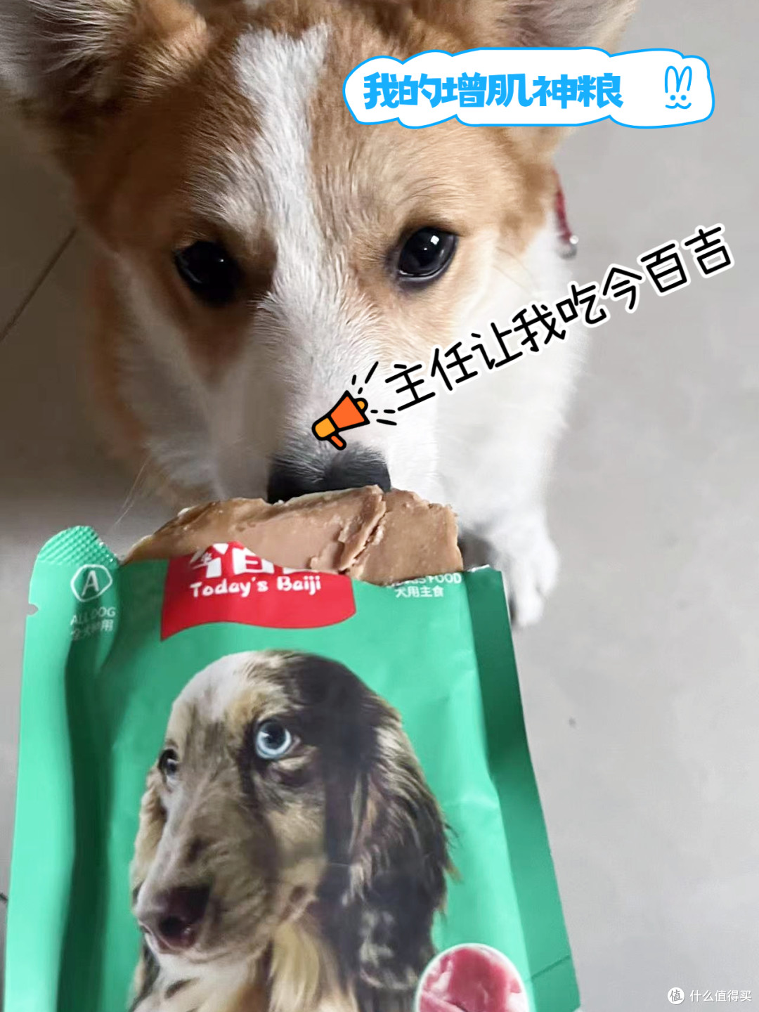 柯基狗粮推荐长肉 便宜又好吃的狗粮