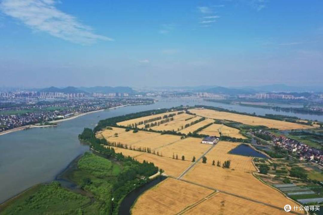 西湖区双浦镇长安沙岛千亩方