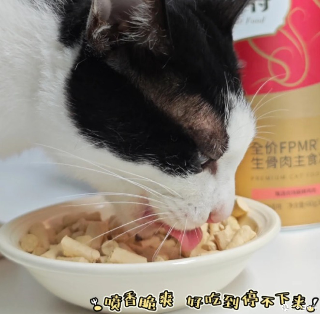 弗列加特与鲜朗冻干对比测评