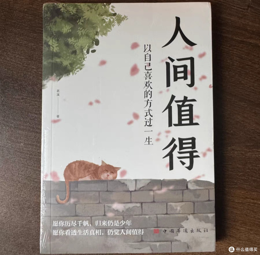 《人间值得》接受平凡,享受每一天!