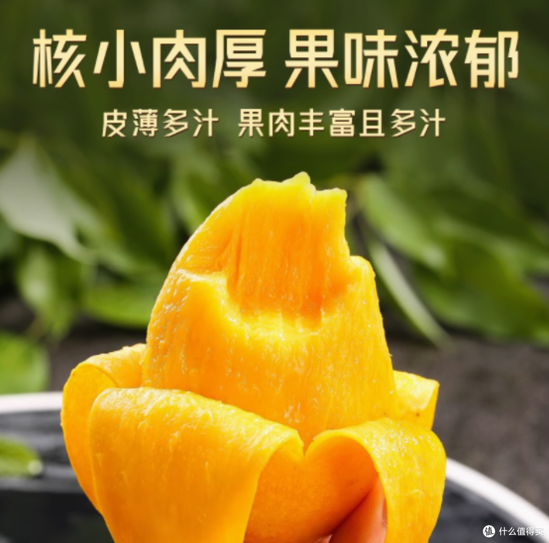 邂逅热带甜蜜,尽享贵妃芒的醉人滋味
