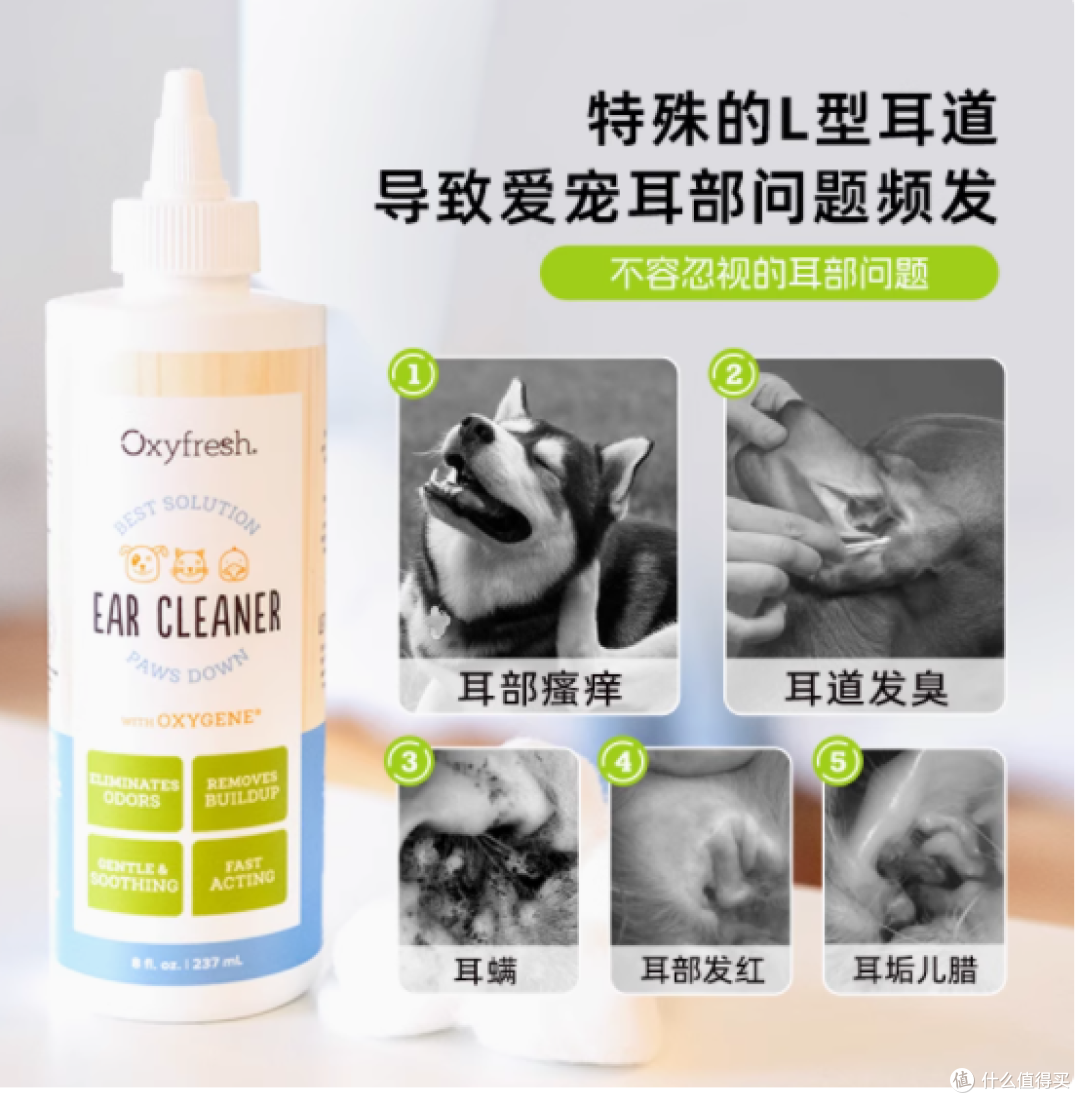 OXYFRESH氧亲新旗舰洁耳液——宠物耳道健康的守护者
