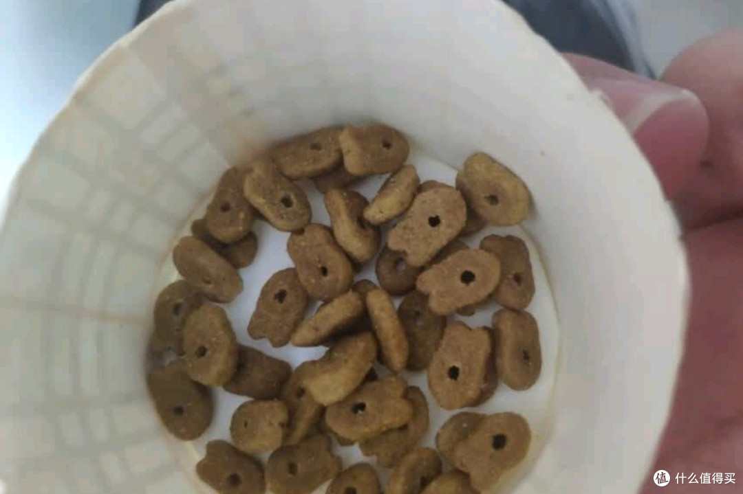 凯锐思幼猫猫粮奶糕：全价营养，助力幼猫健康成长