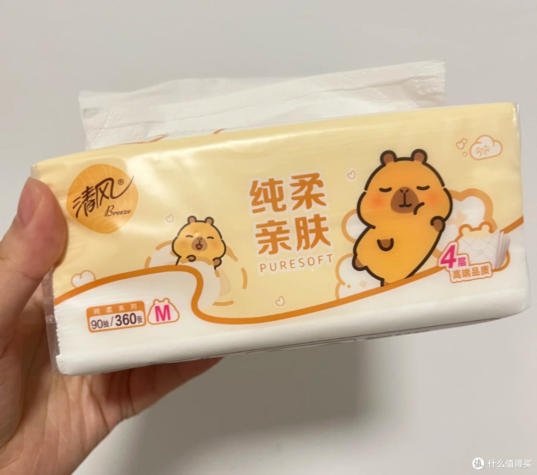 清风卡皮巴拉挂抽:实用与美观的完美结合