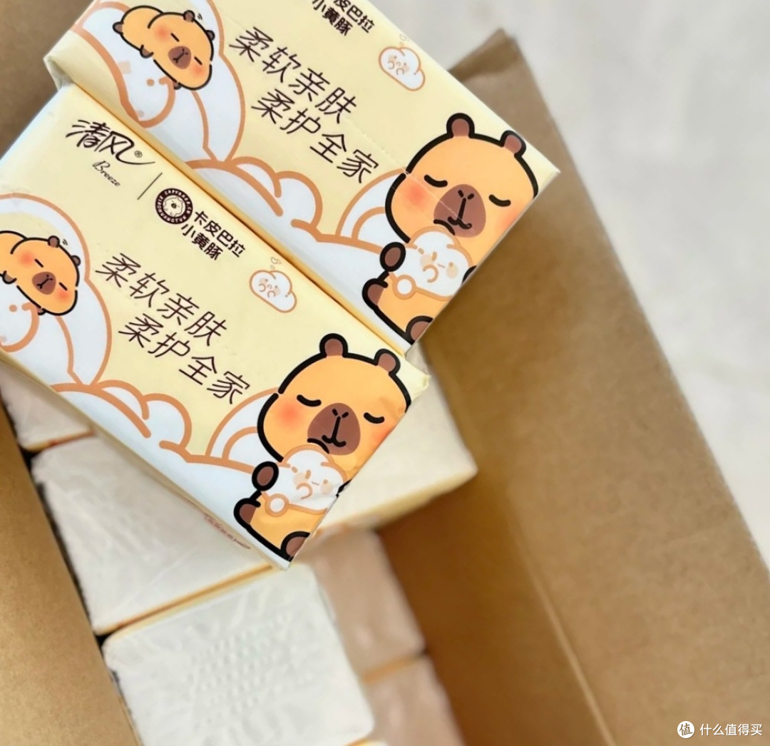 始于颜值，忠于品质——清风卡皮巴拉抽纸使用体验