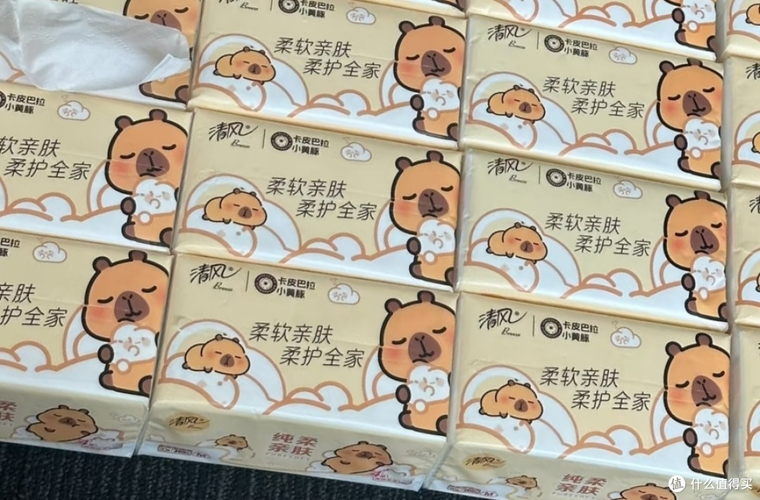 始于颜值，忠于品质——清风卡皮巴拉抽纸使用体验