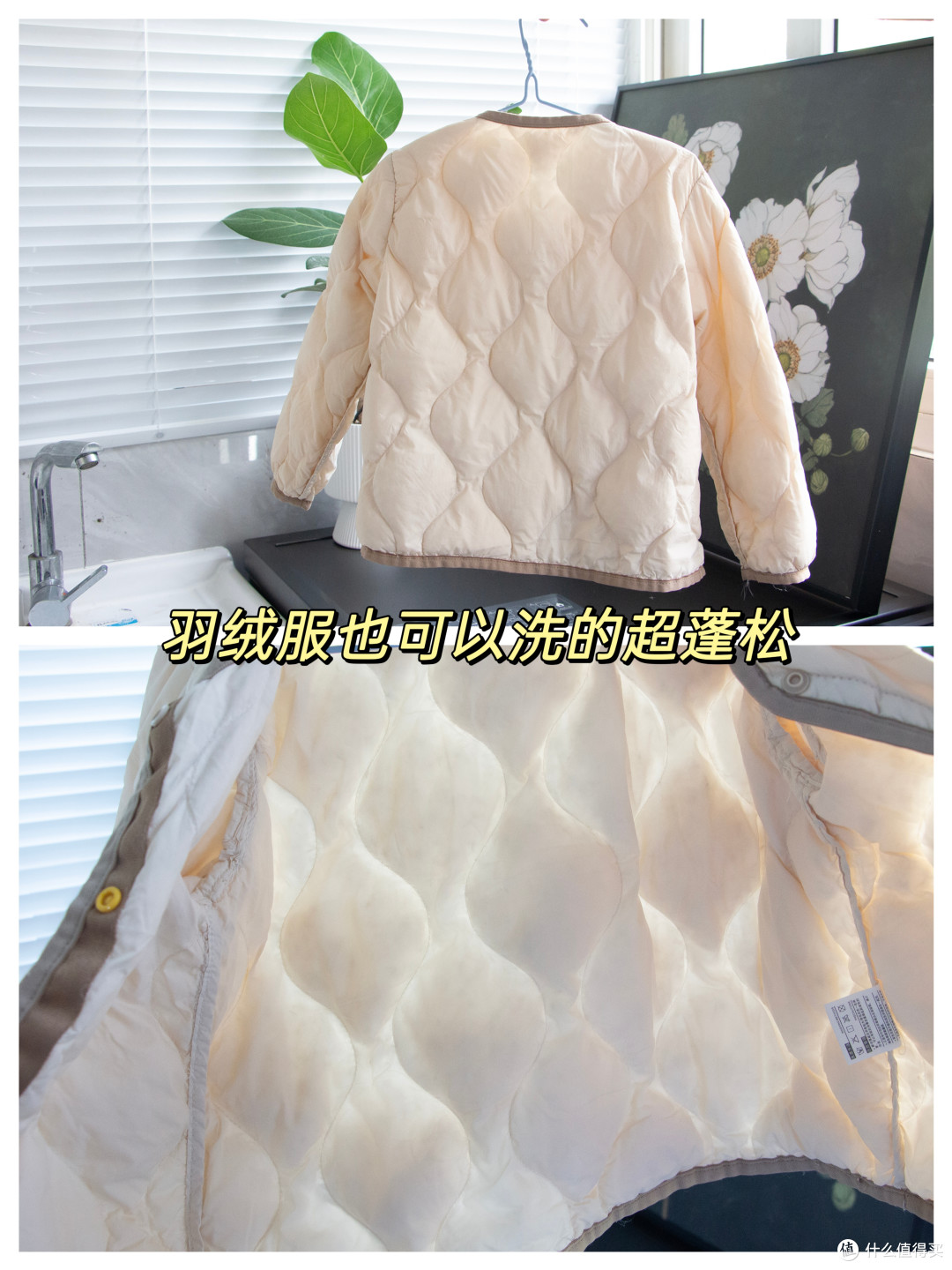 石头我劝你别玩太花,能洗能烘?还能熨?Z1 Plus值不值得买?