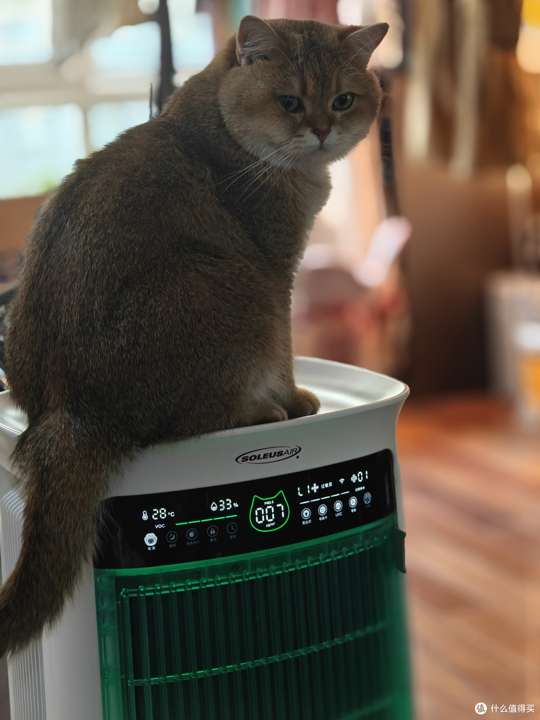 家有猫猫又过敏的朋友注意了,舒乐氏的宠物空气净化器很管用