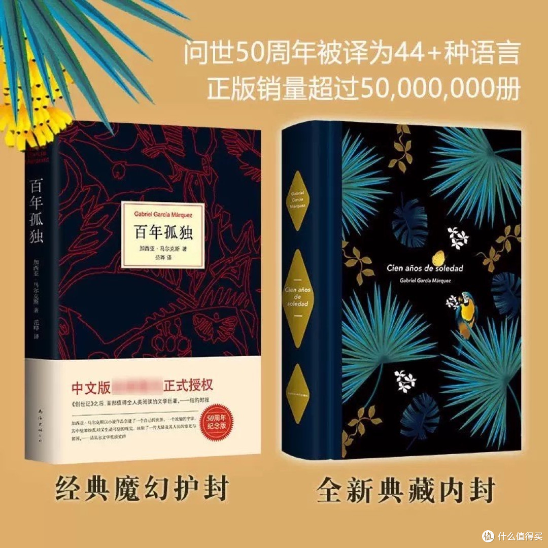 《百年孤独》:一场魔幻与现实交织的史诗之旅。