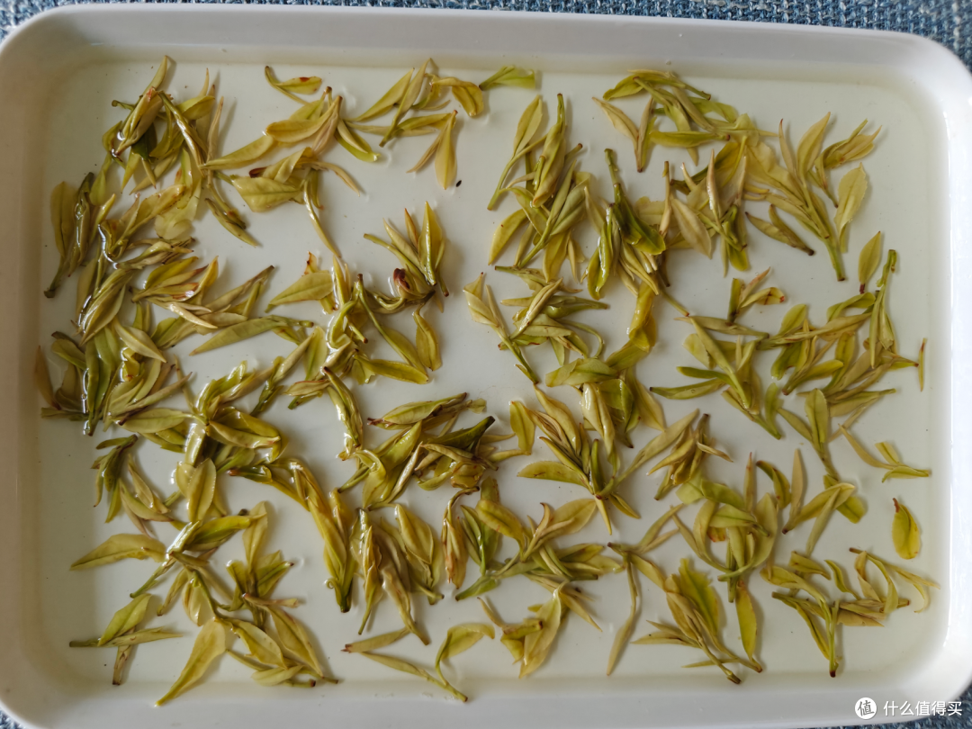 黄金芽属于什么茶？想要喝买哪些品牌比较不错？