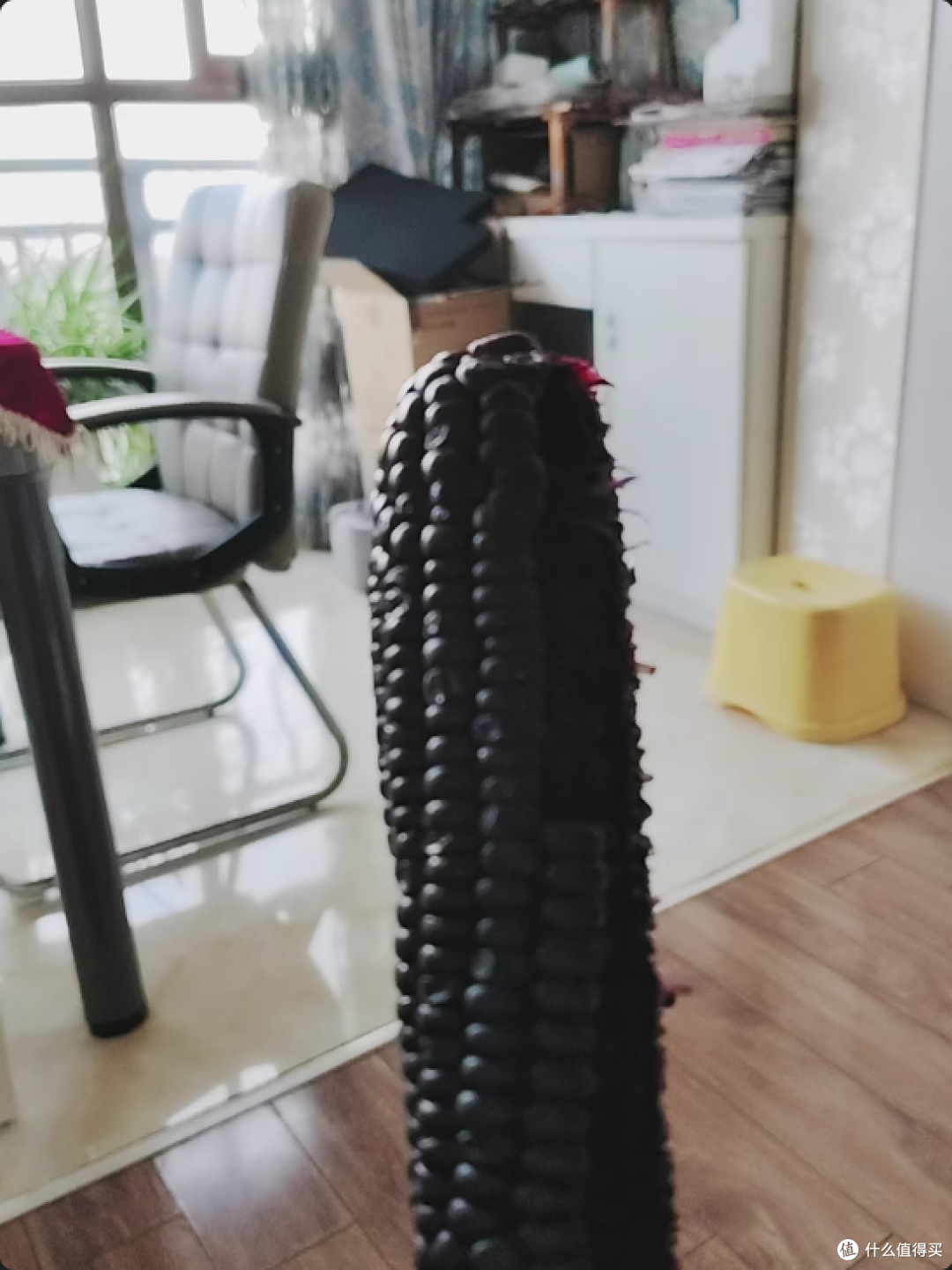 玉米的千面传奇：北纬47°如何让一颗谷物成为味觉的万花筒