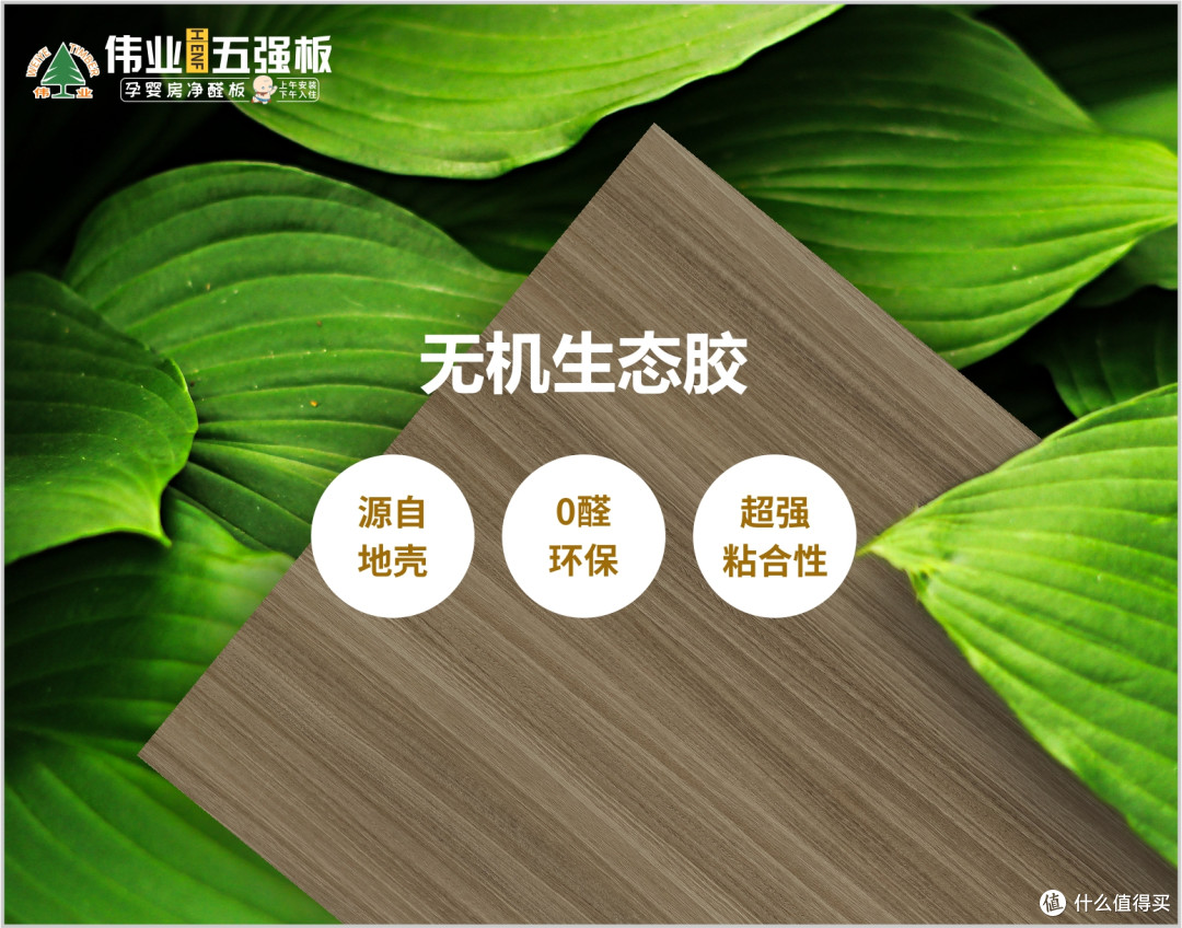 告别胶水焦虑!伟业五强板的无机生态胶,让家秒变“零污染堡垒”