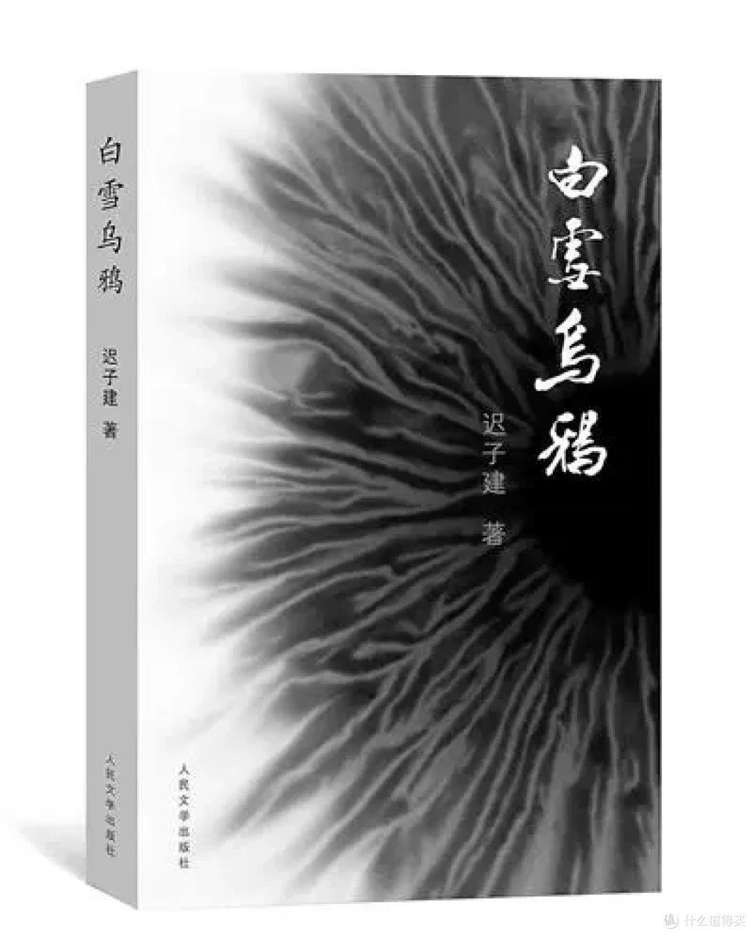 读了6本书,没1本能看完……这些热门小说为何让我读不下去?