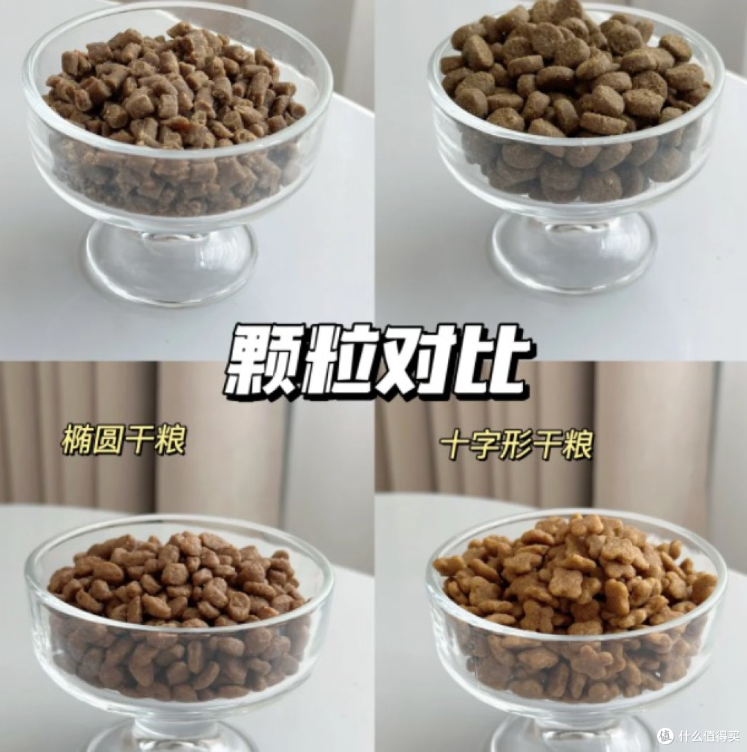 毛孩子4款热门老年犬粮真实测评