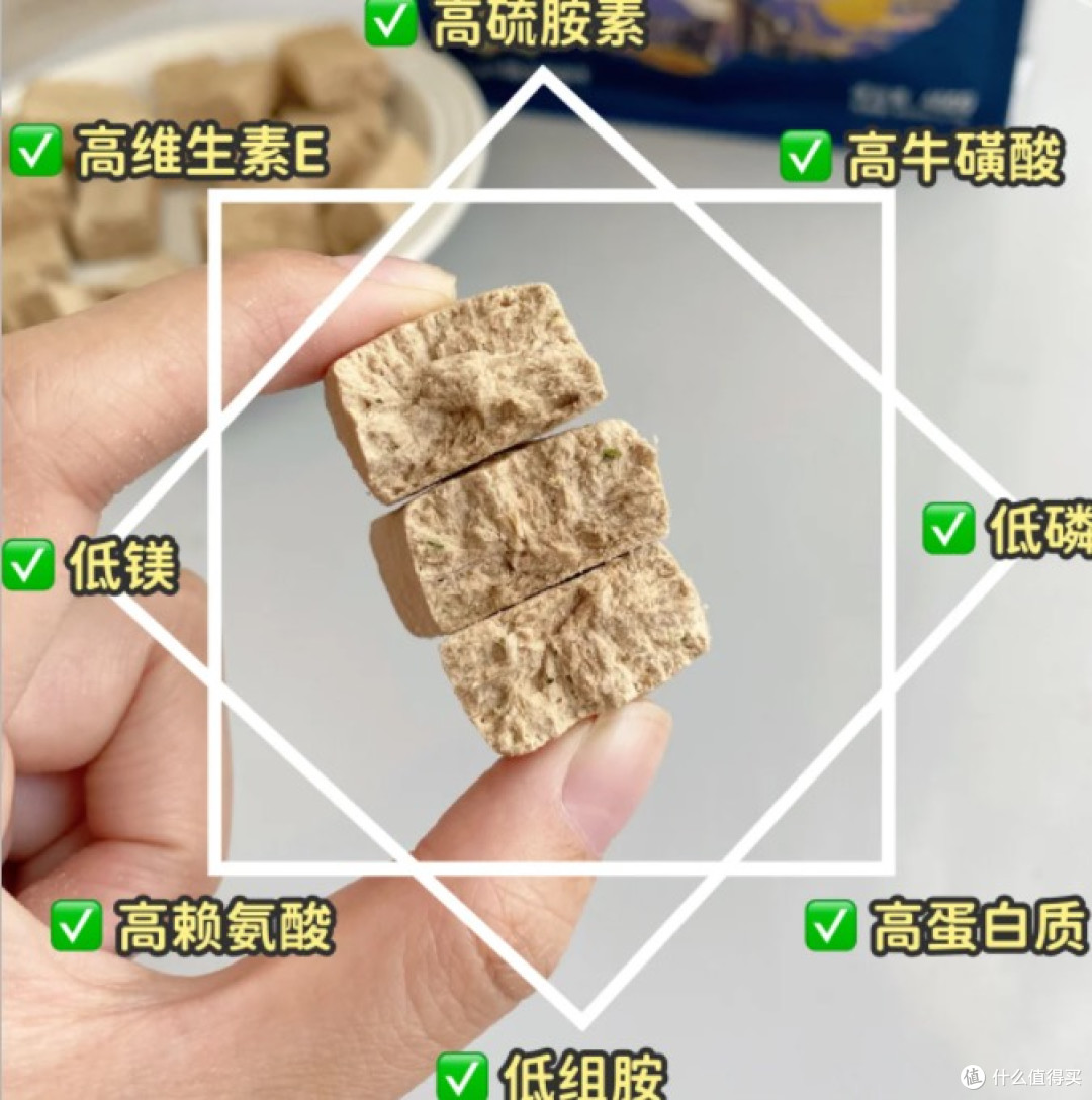 毛孩子4款热门老年犬粮真实测评