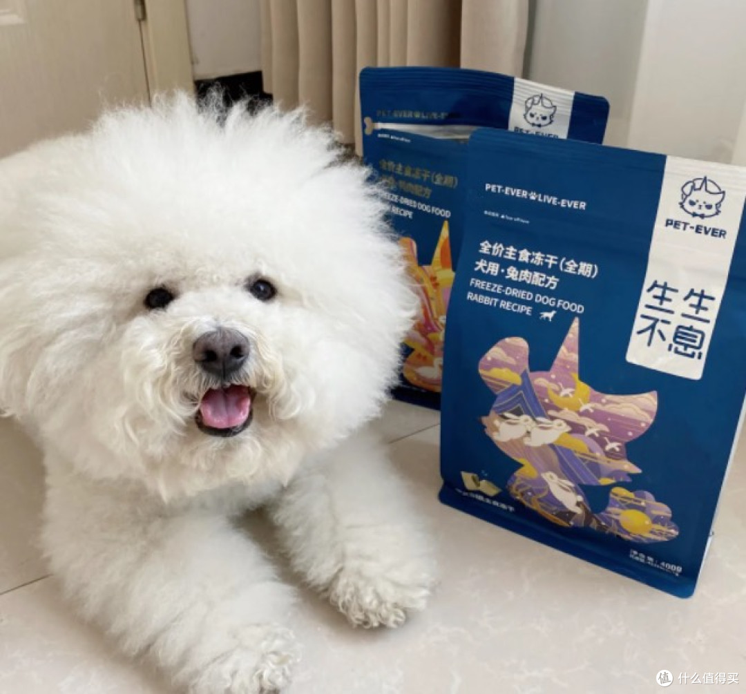 毛孩子4款热门老年犬粮真实测评