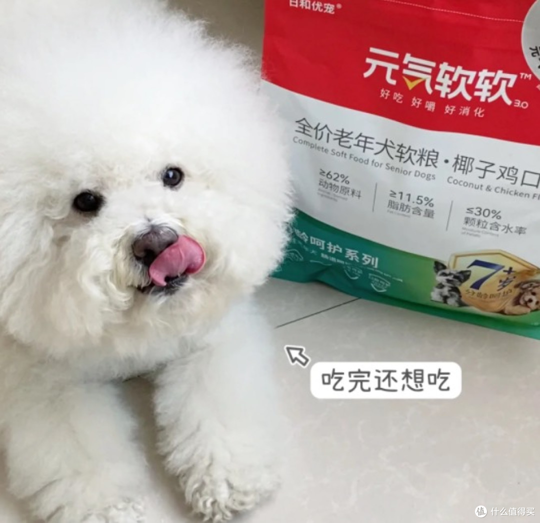毛孩子4款热门老年犬粮真实测评