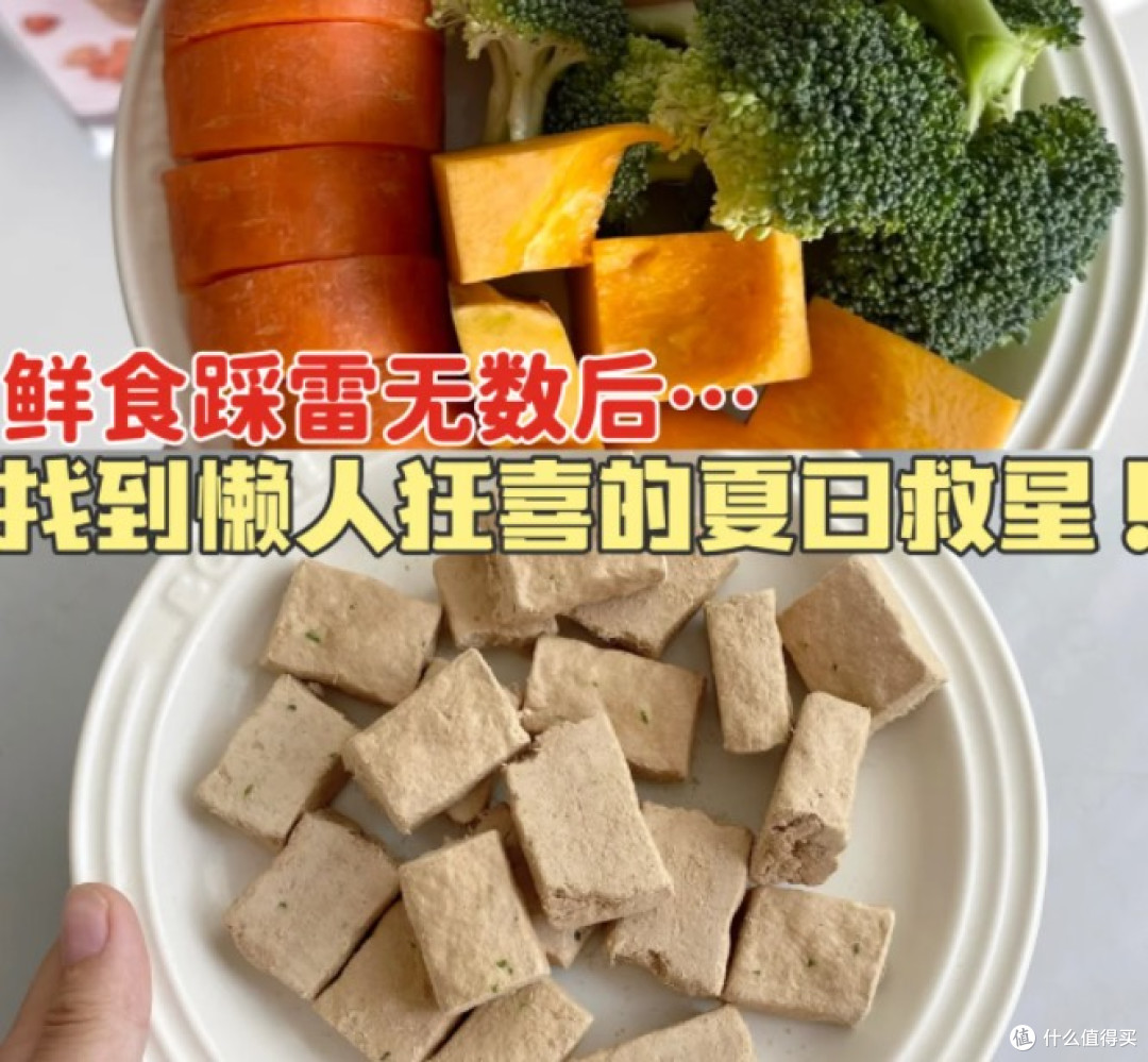 生生不息主食冻干!我的夏日救星✨