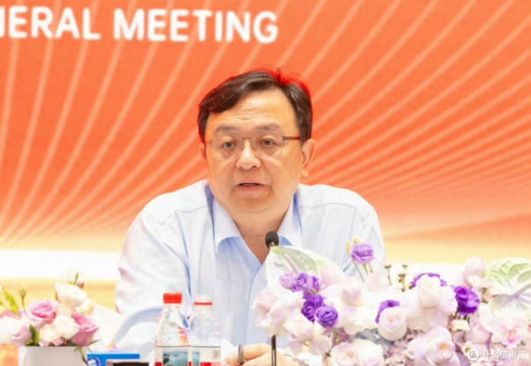 王传福格局拉满,坚持长期发展才是正确选择!
