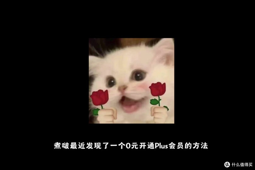 京东Plus会员卡,可以用E卡续费了!