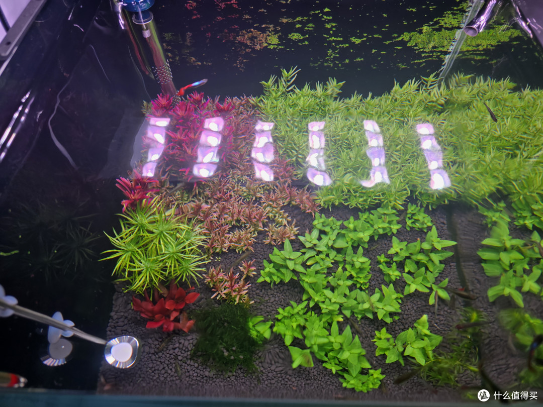 水草灯的原理和优点~~