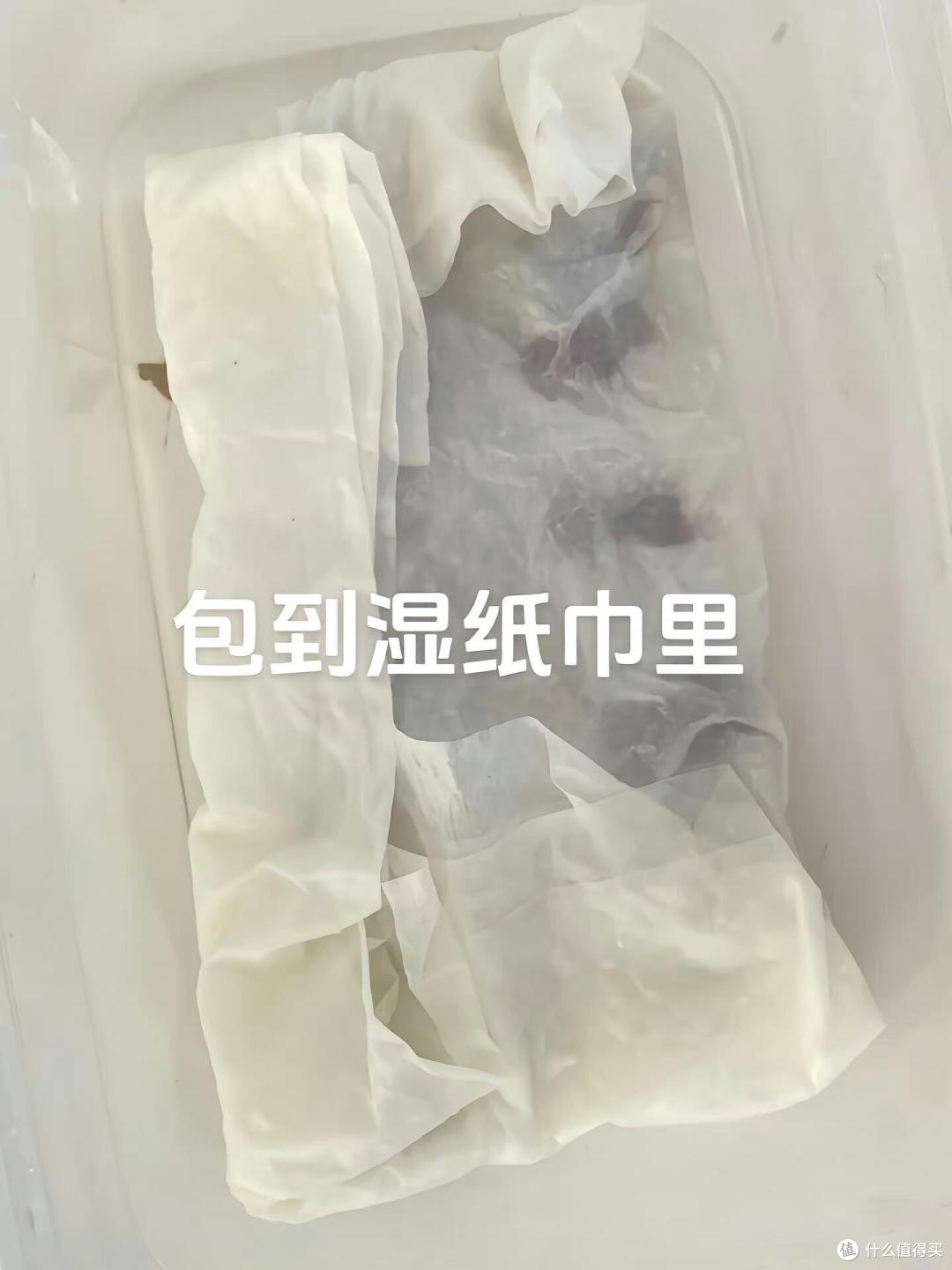 福建一姑娘把“荔枝核”泡水里,两周长成“粉盆栽”,太治愈了